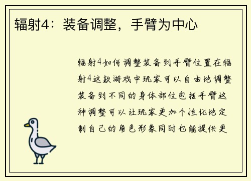 辐射4：装备调整，手臂为中心