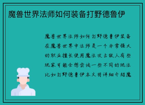 魔兽世界法师如何装备打野德鲁伊